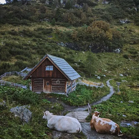 Sechszirbenhütte Am 1700 M Falkert